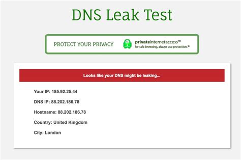 dnsleak test|DNS Leak Test for Free